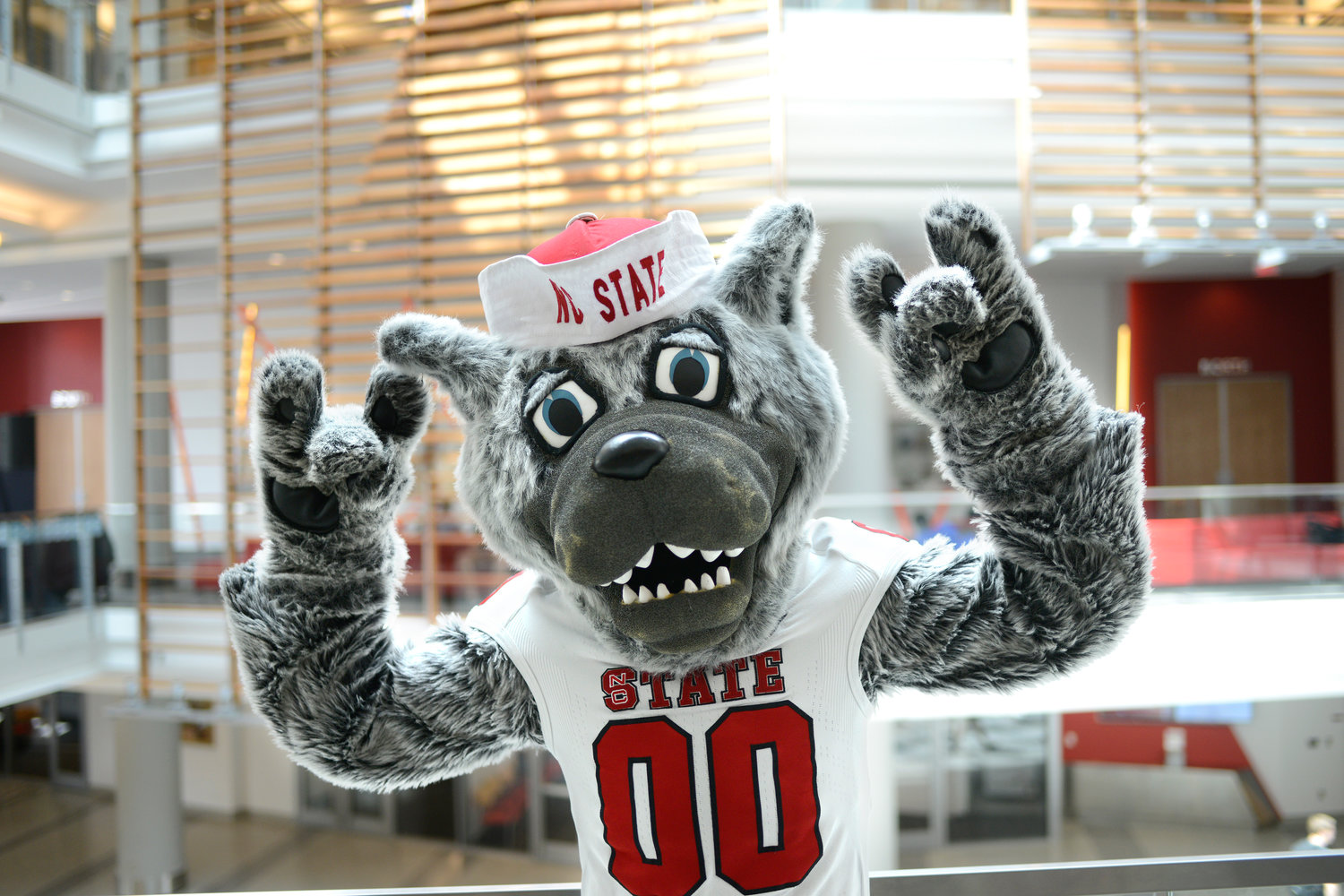 Changing It Up  NC State Alumni Association