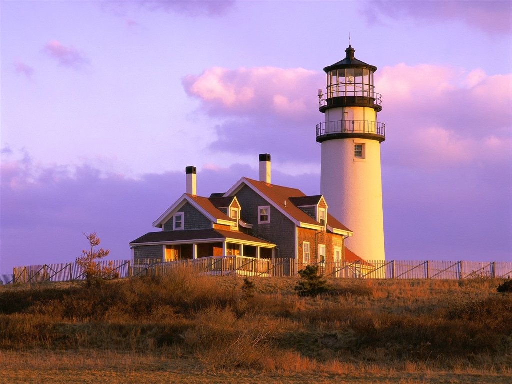 National Tulip Day - May 13th - Agway of Cape Cod