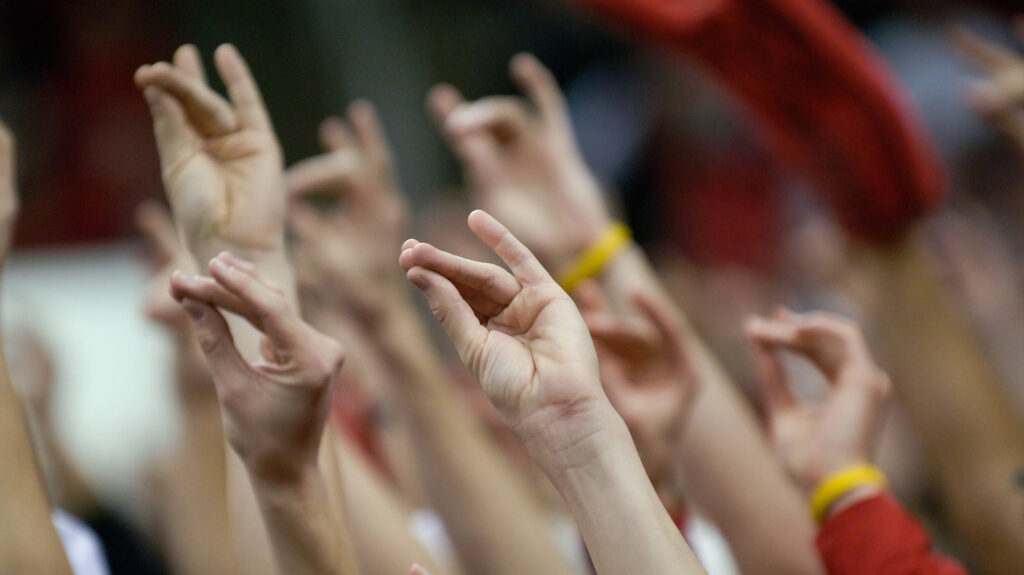 NC State wolf hands