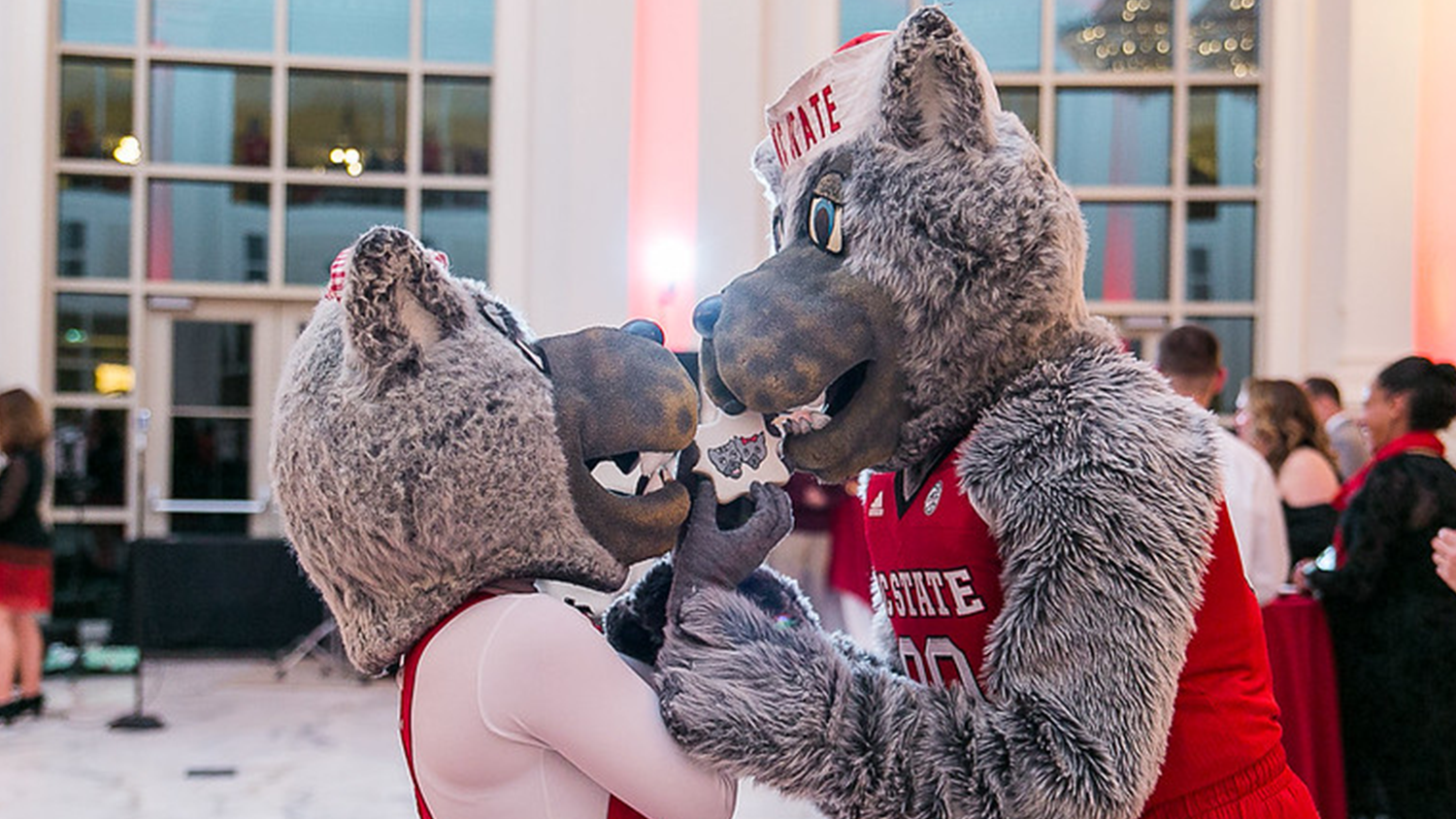 MR. and Ms. Wuf nose to nose for Valentine's Day