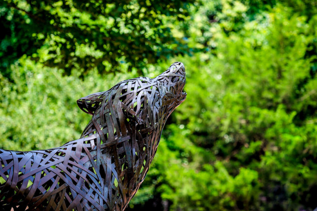 One of the copper wolves at Wolf Plaza. Photo by Becky Kirkland.