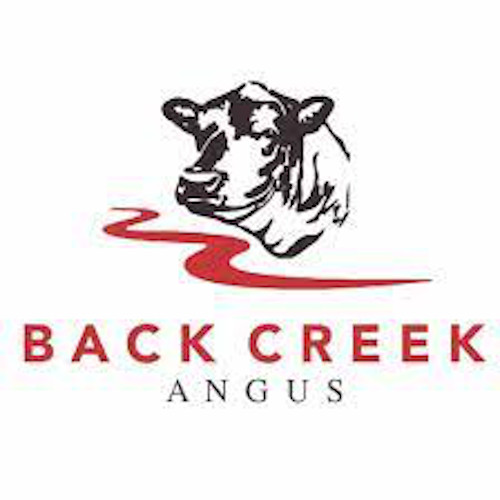 Back Creek Angus