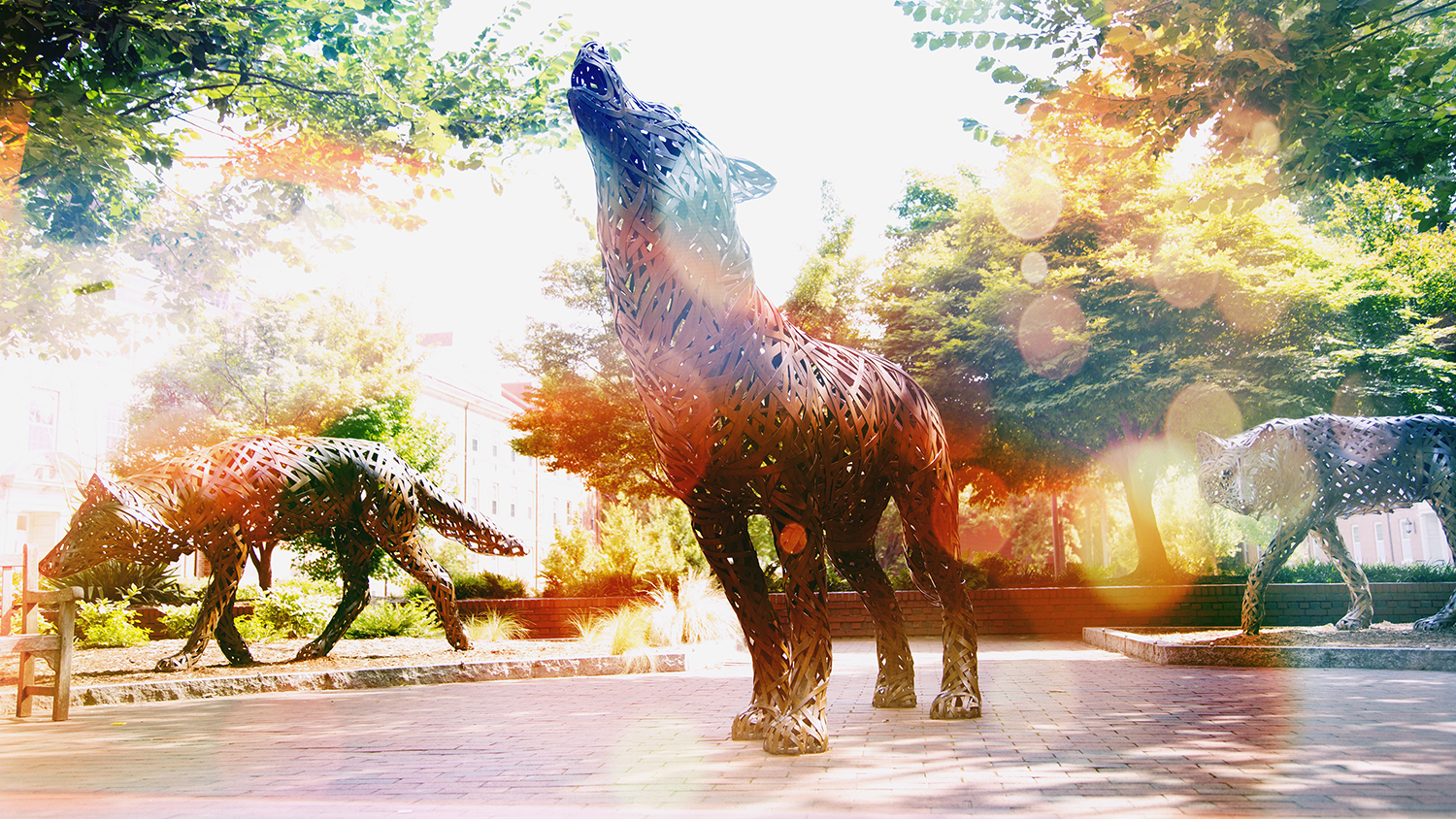 NC&#160;State wolf statue
