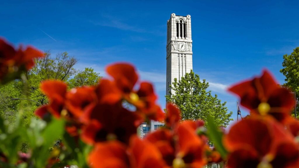Spring blooms around the Memorial Belltower on an April afternoon. Photo by Becky Kirkland.