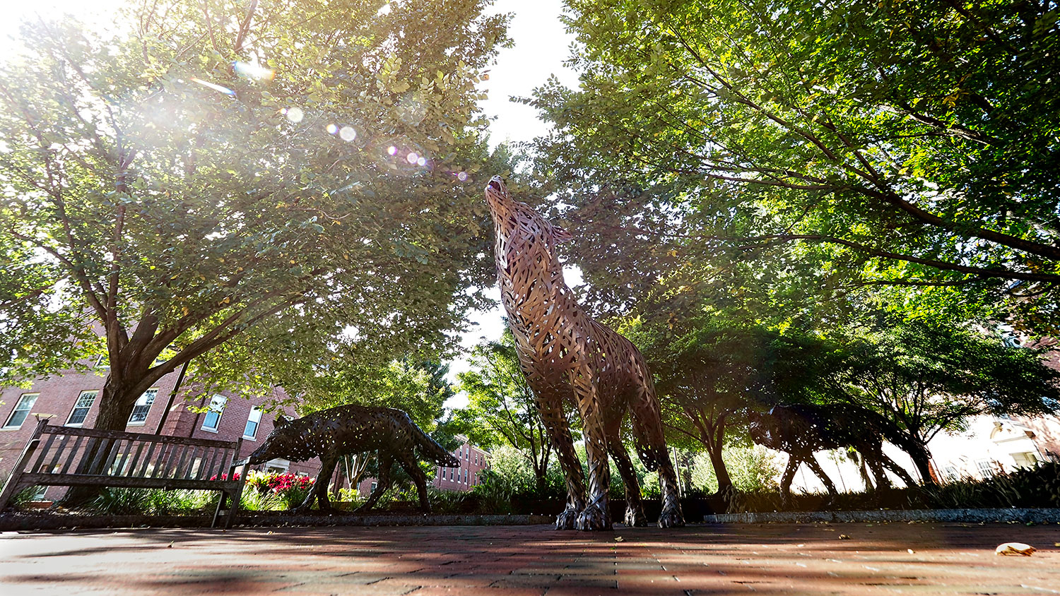 The statues in Wolf Plaza