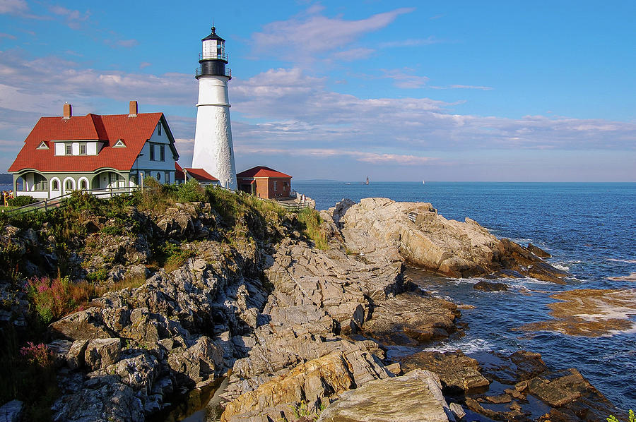 Boothbay Harbor Cruise: Lighthouses, Lobster Haul, and Seals