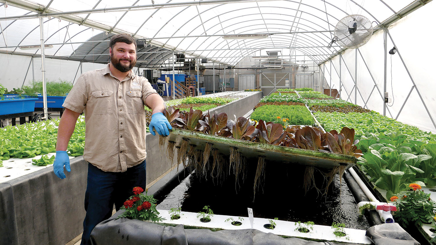 Ashton Thompson works at his job at Juneberry Ridge.