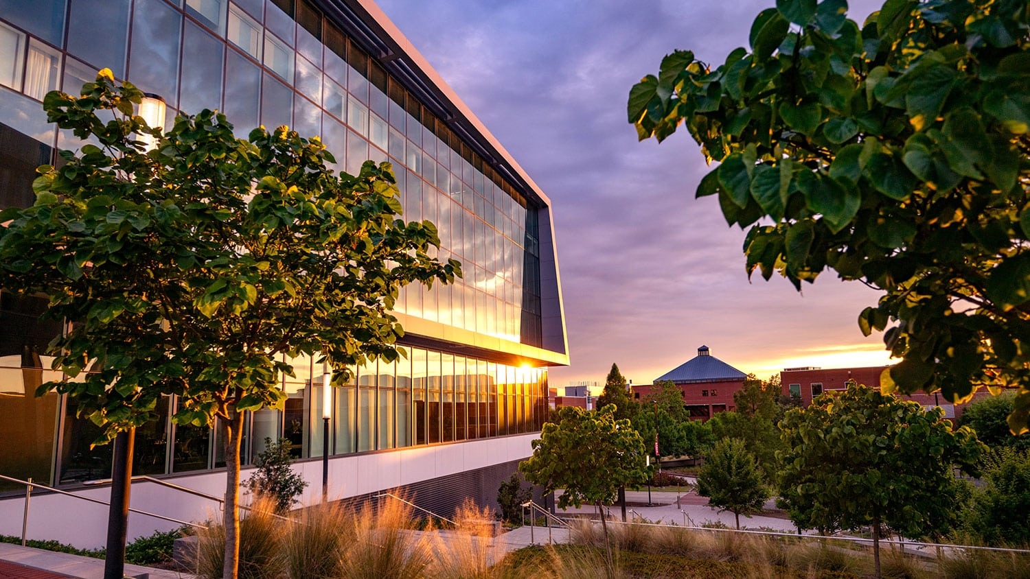 A view of Centennial campus at dawn, with the sunlight reflecting on windows in the Hunt Library.