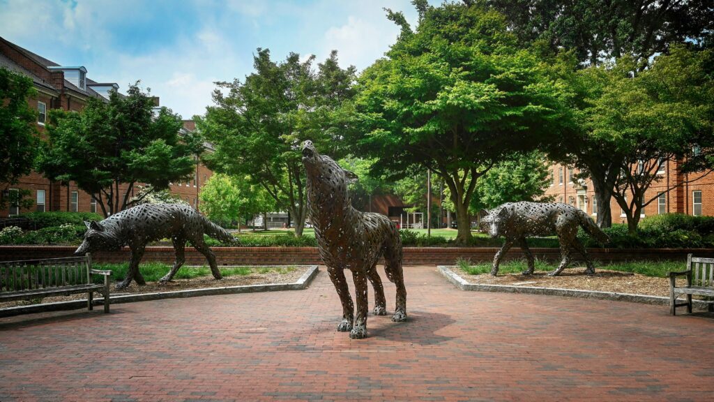 Copper wolf statues on campus