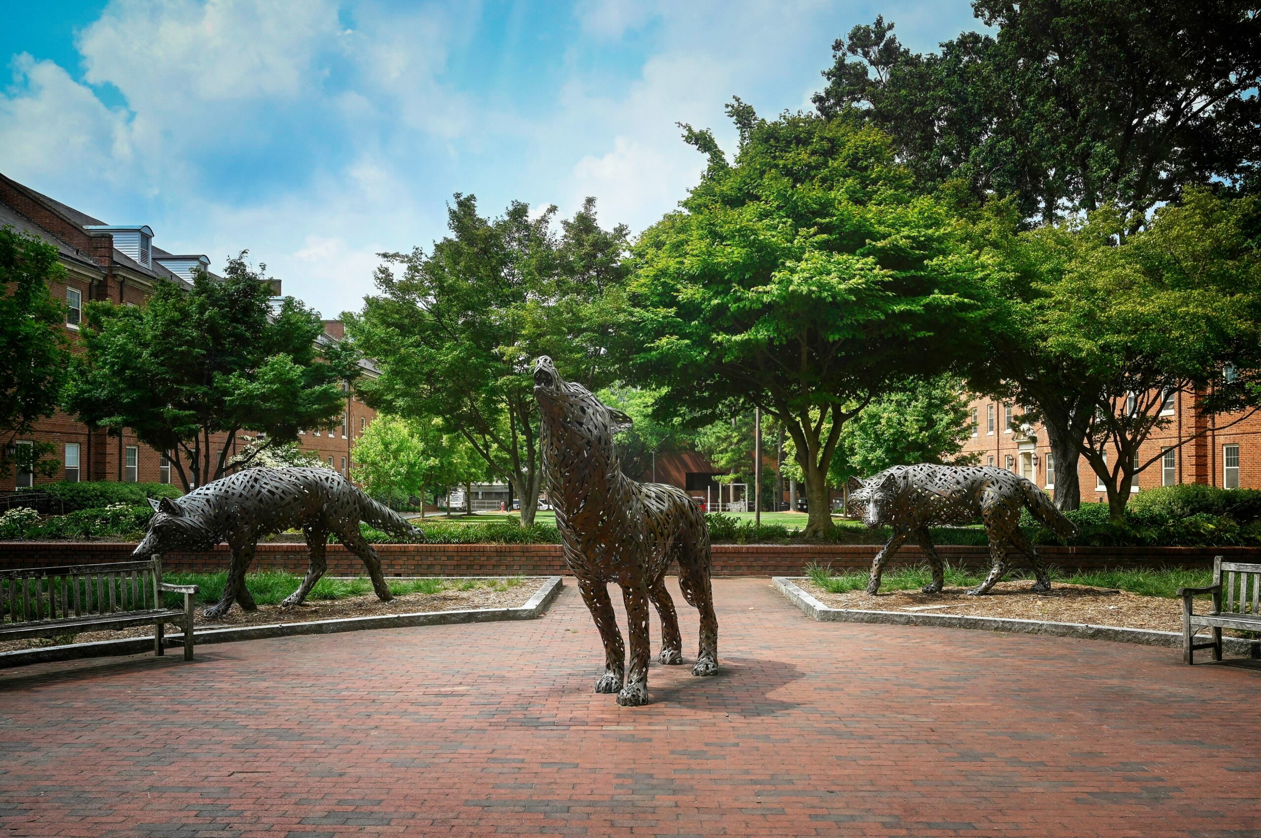 The copper wolves at Wolf Plaza near Talley on main campus. Photo by Marc Hall