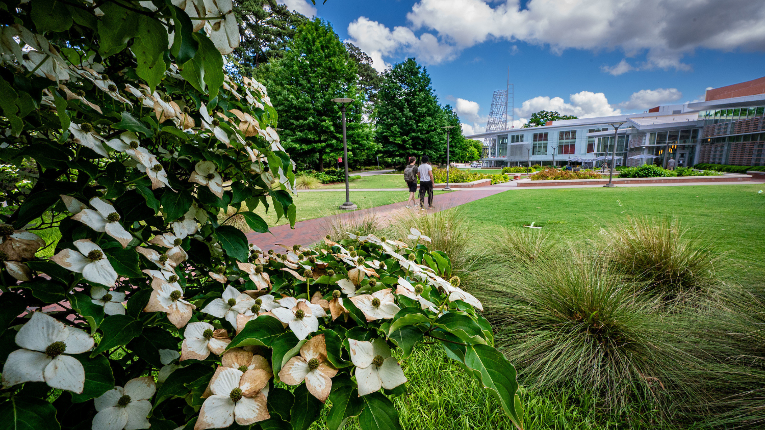 Campus