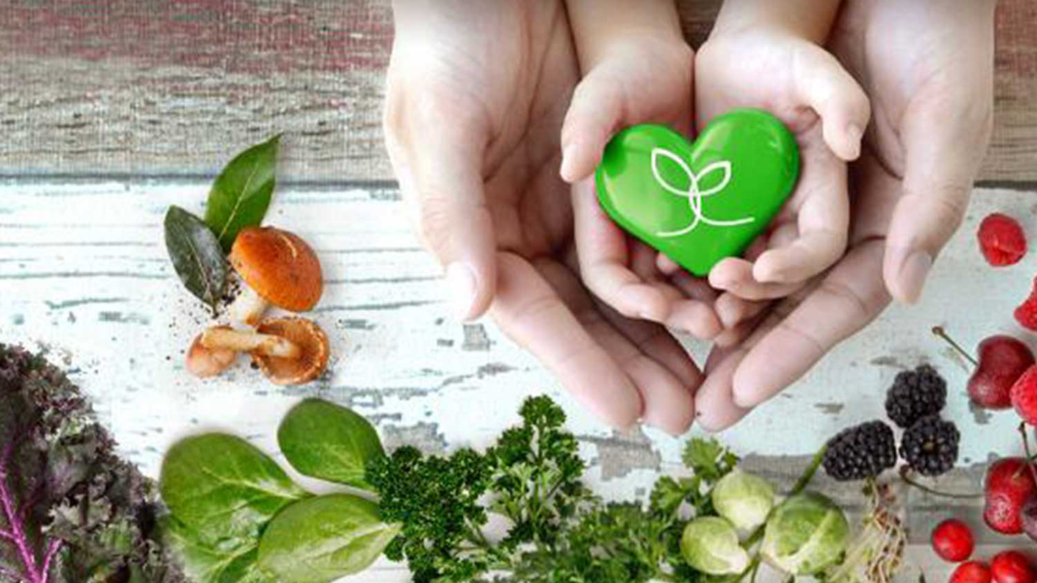 Hands cupping a Touchstone Essentials logo, hovering over fruits and vegetables.