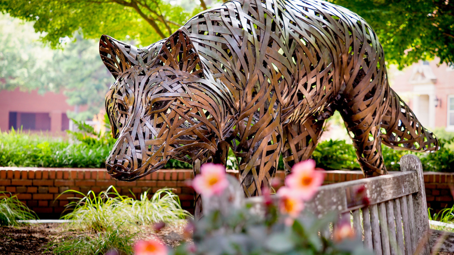 Copper wolf